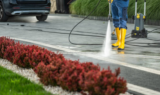 Best Gutter Cleaning  in Shawneeland, VA