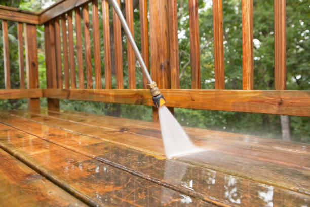 Best Pre-Holiday Cleaning  in Shawneeland, VA