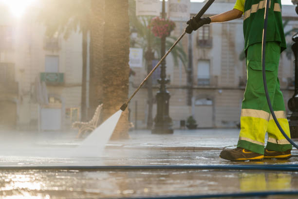 Best Driveway Pressure Washing  in Shawneeland, VA